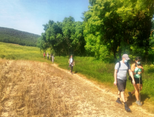 El Gobierno de Castilla-La Mancha celebra el Día Mundial del Medio Ambiente con numerosas rutas y actividades gratuitas abiertas al público en distintos espacios naturales de la región