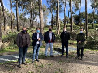 El Gobierno regional comienza los trabajos selvícolas en los montes públicos de ‘Los Gavilanes’ para adecuar la zona y garantizar su seguridad tras la borrasca Filomena 