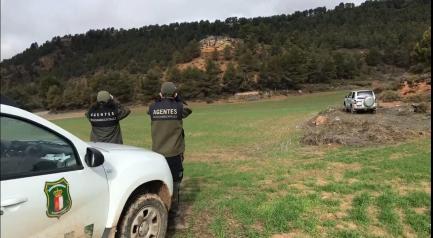 VIGILANCIA CAZA