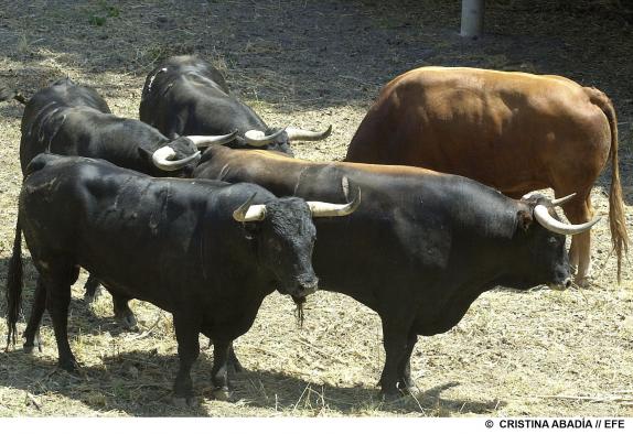 Imagen Castilla-La Mancha