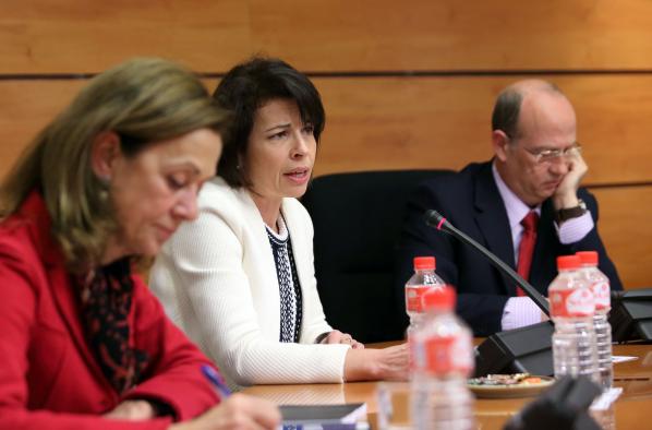 Reyes Estevez comparece en la Comision de Presupuestos
