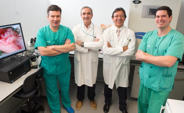 El Hospital Nacional de Parapléjicos consigue más fondos para estudiar la fibrosis que impide la reconexión neuronal