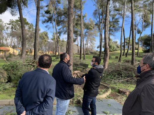 El Gobierno regional comienza los trabajos selvícolas en los montes públicos de ‘Los Gavilanes’ para adecuar la zona y garantizar su seguridad tras la borrasca Filomena 
