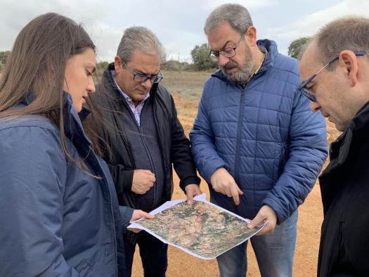 Camino concentración parcelaria Gárgoles de Arriba