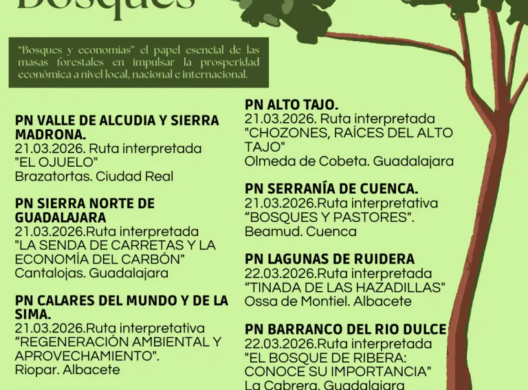 El Gobierno regional organiza este fin de semana actividades para conmemorar el Día Internacional de los Bosques en sus siete parques naturales