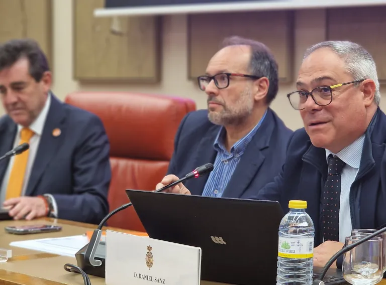 Los datos han sido divulgados hoy en el Congreso de los Diputados durante la presentación del XXVI Dictamen del Observatorio Estatal de la Dependencia