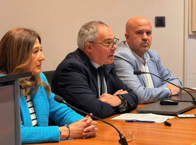 Castilla-La Mancha incrementa un 50% la financiación de los proyectos de párkinson y refuerza la atención con más plazas, inversión y servicios