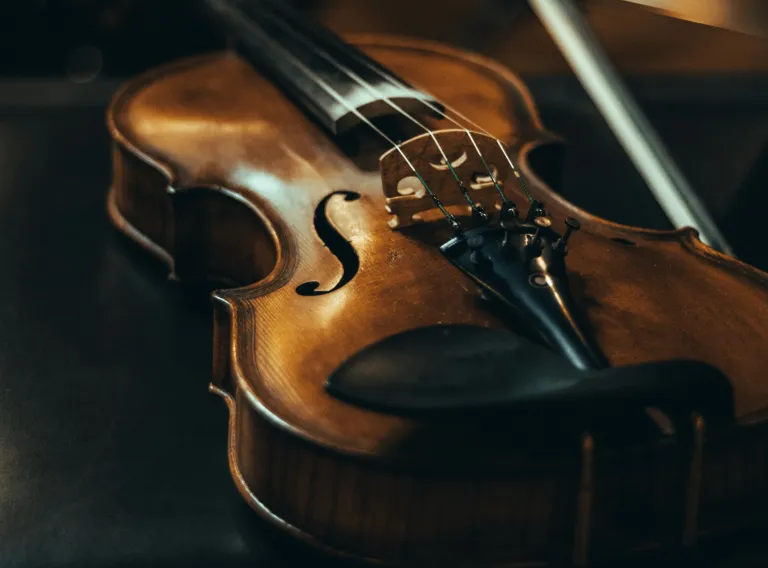 Violín