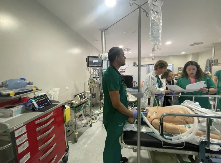 Momento de la simulación